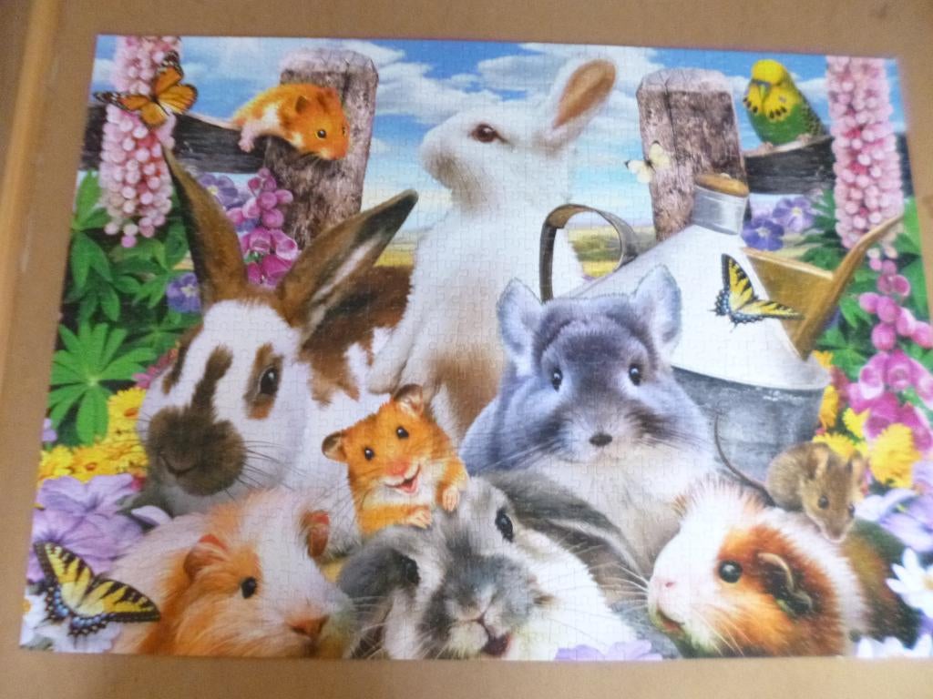 Puzzel 1000 stukjes, Ophalen of Verzenden