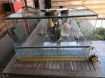 Terrarium, Animaux & Accessoires, Comme neuf, Enlèvement, Éclairage