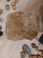 Gigantische walviswervel, Enlèvement ou Envoi