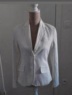 Blazer, Enlèvement ou Envoi, Taille 38/40 (M)