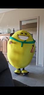 Costume carnaval bonhomme oasis, Enlèvement, Porté, Autres tailles, Vêtements