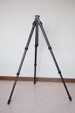 Gitzo GT2542 Mountaineer statief, Ophalen, Zo goed als nieuw, 150 tot 175 cm, Driepoot