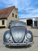 Vw kever ovaal 1955 volledig gerestaureerd incl garantie, Auto's, 4 zetels, Achterwielaandrijving, 4 cilinders, Bedrijf