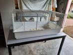 Cage à lapin ou cochon d'inde +accessoires, Kooi, Gebruikt, Cavia, 75 tot 110 cm