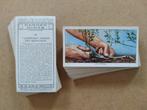 Garden Hints complete set 50 chromos tuinieren 1938 Wills, Ophalen of Verzenden, Voor 1940, Natuur