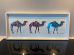 kader met kleurrijke kamelen, Antiek en Kunst, Ophalen