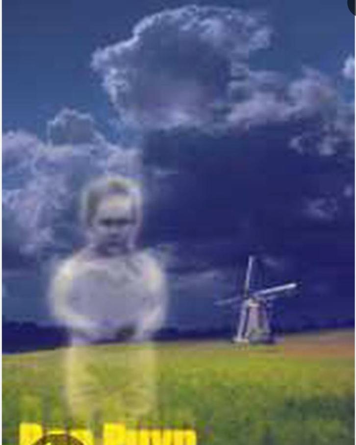 Ongelooflijk maar waar, Ron Puyn, Livres, Psychologie, Enlèvement ou Envoi