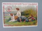 1899 Chromo vd Roode Pelikaan Koffie Antwerpen honden, Verzamelen, Verzenden, Zo goed als nieuw, Voor 1940, Dier