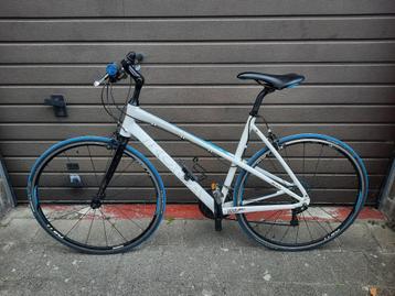 Koga Sportslady fiets: "handbuilt in Holland" - F.Maat 53 beschikbaar voor biedingen
