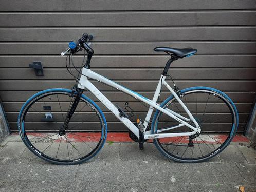 Koga Sportslady fiets: "handbuilt in Holland" - F.Maat 53, Fietsen en Brommers, Fietsen | Dames | Sportfietsen en Toerfietsen