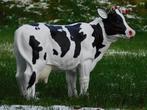 Vache à Cornes - M - Polystone - Détaillé, Enlèvement ou Envoi, Neuf