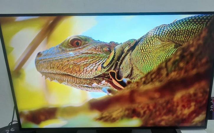 Lg TV  Oled 4k 120hz 55", Audio, Tv en Foto, Televisies, Zo goed als nieuw, OLED, 4k (UHD), LG, 120 Hz, Smart TV, Ophalen