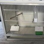 Double cage pvc alu tiroir inox, Dieren en Toebehoren, Vogels | Hokken en Kooien, Ophalen, Zo goed als nieuw