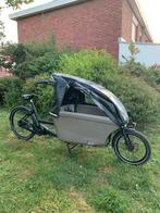 Dolly 36v 14ah dubbele bakfiets, Ophalen of Verzenden