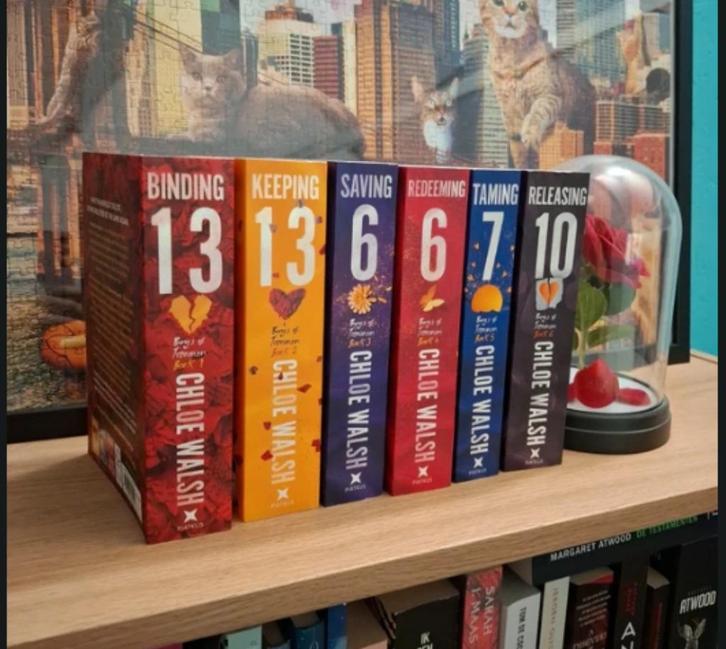 Boys of Tommen boek 1 tot 6 Engelse versie, Boeken, Chicklit, Nieuw, Ophalen