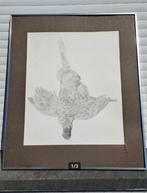 Lithographie oiseaux mort signe paul georges klein, Antiek en Kunst, Ophalen of Verzenden