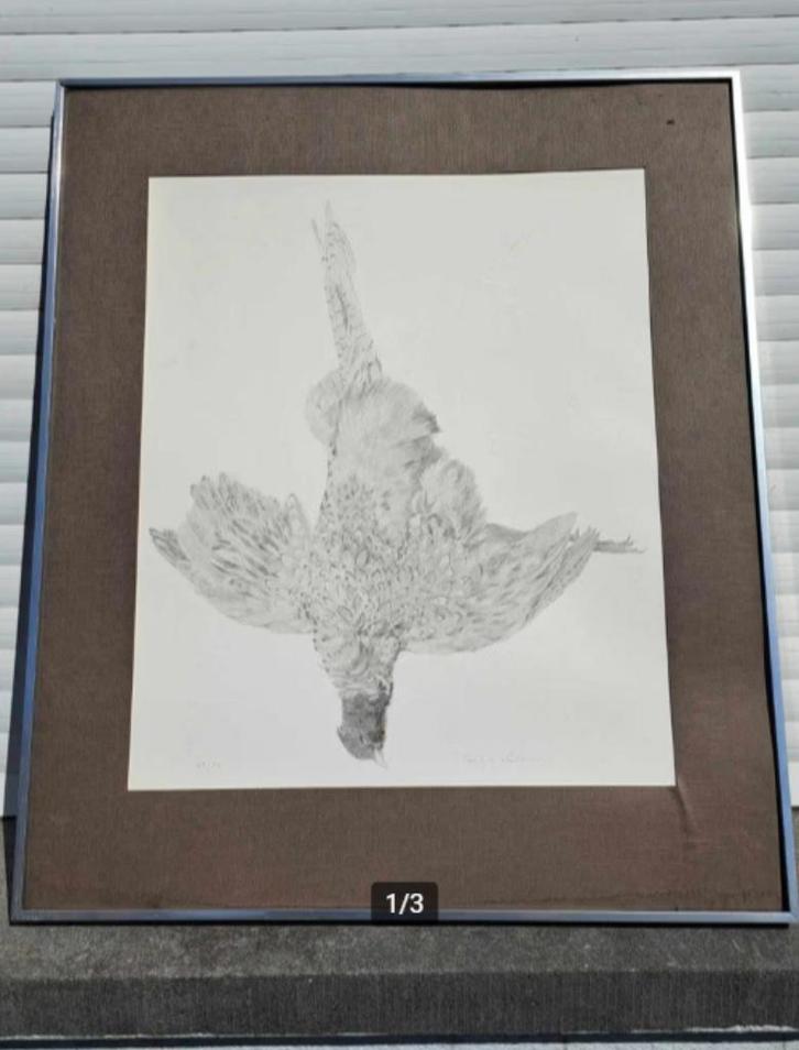 Lithographie oiseaux mort signe paul georges klein, Antiek en Kunst, Kunst | Litho's en Zeefdrukken, Ophalen of Verzenden