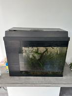 Aquarium, pomp en verwarming van 100 liter - guppys, Dieren en Toebehoren, Ophalen