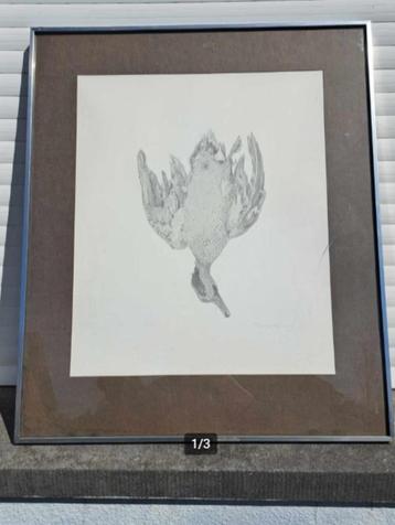 Lithographie oiseaux mort signe paul georges klein beschikbaar voor biedingen