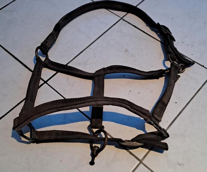 Halster, Dieren en Toebehoren, Paarden en Pony's | Hoofdstellen en Tuigage, Zo goed als nieuw, Ophalen of Verzenden