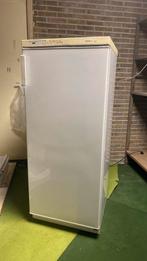 Frigokast met 7vakken 146cm hoogte “Friac”, Elektronische apparatuur, Vriezers en Diepvrieskisten, Gebruikt, 140 tot 160 cm, Ophalen