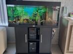 Juwel 180 Liter aquarium + kast + toebehoren, Dieren en Toebehoren, Ophalen of Verzenden, Zo goed als nieuw