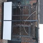 Grote vogelkooi, Dieren en Toebehoren, Ophalen, Gebruikt, Metaal, Vogelkooi