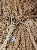Trosgierst geel 1kg - Winkel en Webshop, Ophalen