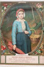 Grote Almanak 1883 Litho., Antiek en Kunst, Ophalen of Verzenden