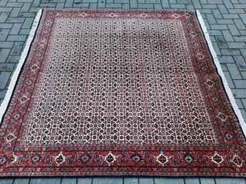 Perzisch vierkant tapijt-200X200- handgeknoopt (Bidjar) Iran beschikbaar voor biedingen