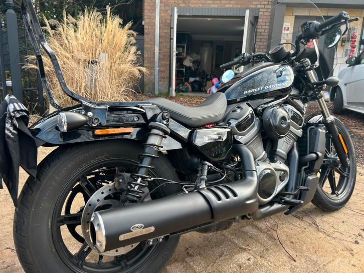 Nightster 975 S  avec pot Jekill & Hide, Motos, Motos | Harley-Davidson, Entreprise, Tourisme, Permis Moto A, Enlèvement