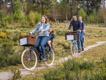 Leuke retrofiets! beschikbaar voor biedingen