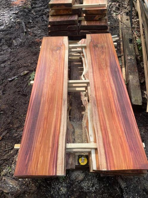 Taxus hout, Doe-het-zelf en Bouw, Hout en Planken, Nieuw, Plank, Overige houtsoorten, 300 cm of meer, 25 tot 50 mm, Ophalen