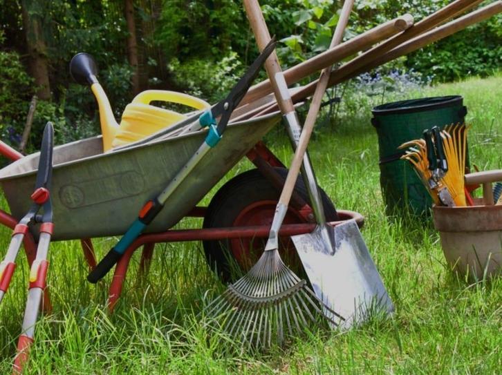 tuinman omgeving bocholt, Services & Professionnels, Jardiniers & Paveurs, Construction de jardin ou d'étang, Entretien de jardins ou Taille