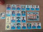 Panini euro 88 , team Nederland compleet. Van Basten, Gullit, Ophalen of Verzenden, Zo goed als nieuw