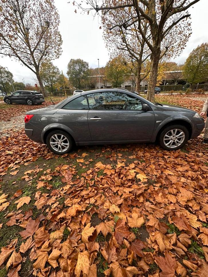 Renault Cabriolet, Autos, Oldtimers & Ancêtres, Entreprise, Renault, Essence, Cabriolet, 3 portes, Automatique, Argent ou Gris