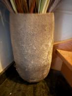 Vaas, Enlèvement, Comme neuf