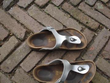 Gratis verzenden zilveren gizeh birkenstock slippers mt 36
