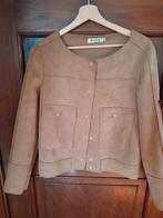 damesvest, Kleding | Dames, Jasjes, Kostuums en Pakken, Ophalen of Verzenden