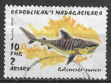 Madagascar 1993 - Yvert 1249 - Tijgerhaai (ST) beschikbaar voor biedingen