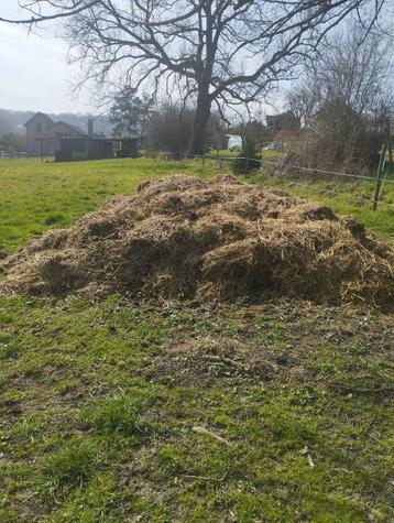 Fumier de cheval, Enlèvement, Fumier
