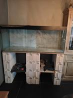 Aquarium, Ophalen of Verzenden, Zo goed als nieuw