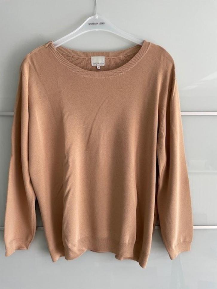 Pull Rue Blanche - Mt 4 = 42, Kleding | Dames, Truien en Vesten, Gedragen, Maat 42/44 (L), Overige kleuren, Ophalen of Verzenden