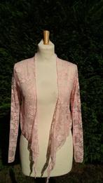 fijne bolero/korte gilet in stretch kant licht roos TU Nieuw, Kleding | Dames, Ophalen of Verzenden, Zo goed als nieuw, Maat 36 (S)