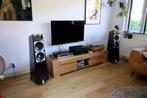 Totem Acoustic Element Earth, Audio, Tv en Foto, Luidsprekerboxen, Zo goed als nieuw, 120 watt of meer, Front, Rear of Stereo speakers