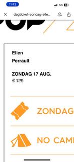 Pukkelpop zondagticket, Tickets en Kaartjes, Evenementen en Festivals, Eén persoon
