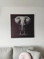 Schilderij van een olifant 100x100, Antiquités & Art, Art | Peinture | Moderne, Enlèvement ou Envoi