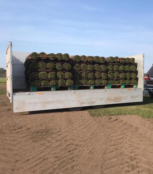 Graszoden op rol, zeer goede kwaliteit, Tuin en Terras, Planten | Bomen, Ophalen