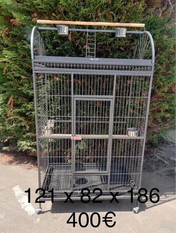 Grande cages neuve perroquets, Animaux & Accessoires, Enlèvement, Comme neuf