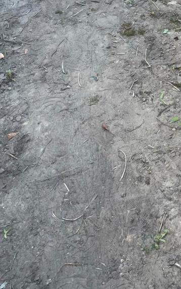 Gratis zwarte grond.  beschikbaar voor biedingen
